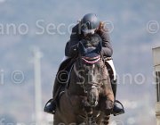 Petckov Al Pacino TosTour2013- S5 2701 : Al Pacino, Arezzo, Arezzo Equestrian Centre, Petkov Ruslan, Toscana Tour 2013, foto di Stefano Secchi ©